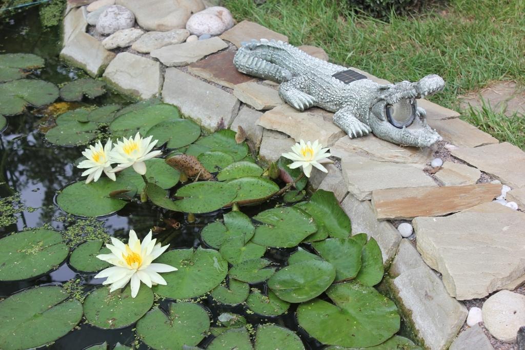 Family Complex Ekokomfort Сагунівка Екстер'єр фото